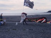Kites on the beach 1